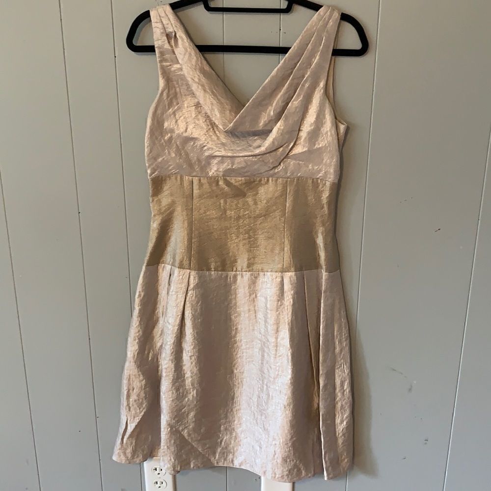 Adrianna Papell Champagne Dress Size 6